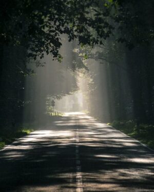 Don’t Give Up – Allah Is Writing Your Story